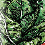Lettuce Seeds - Jericho, ORGANIC - Sow True Seed