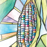 Flint Corn Seeds - Carl's Glass Gem, ORGANIC - Sow True Seed