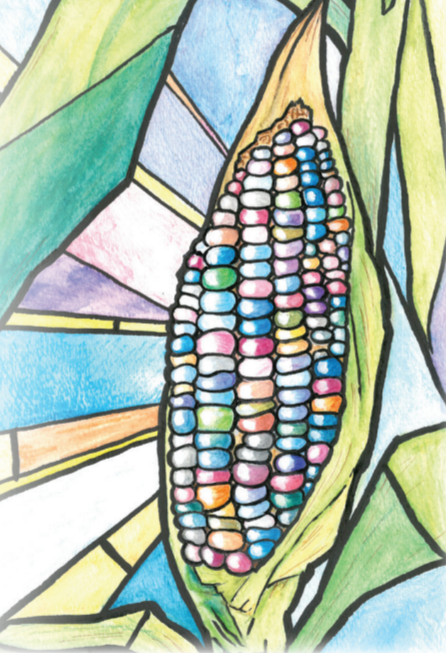 Flint Corn Seeds - Carl's Glass Gem, ORGANIC - Sow True Seed