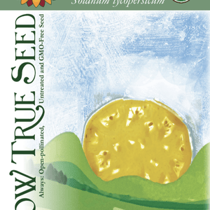 Brandywine, Yellow - Slicer Tomato Seeds – The Incredible Seed Company Ltd