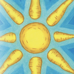 Carrot Seeds - Solar Yellow, ORGANIC - Sow True Seed