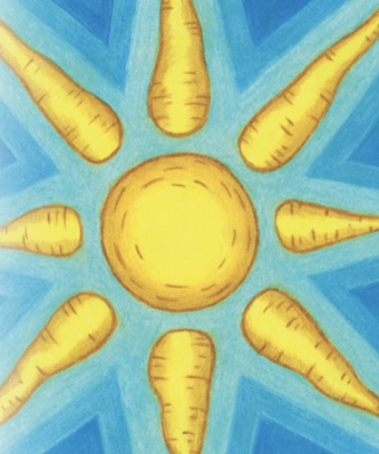 Carrot Seeds - Solar Yellow, ORGANIC - Sow True Seed