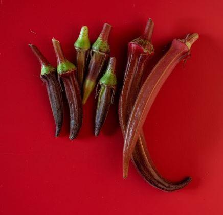 Okra Seeds - Sea Island Red - Sow True Seed