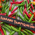 Hot Pepper Seeds - Serrano Tampiqueño