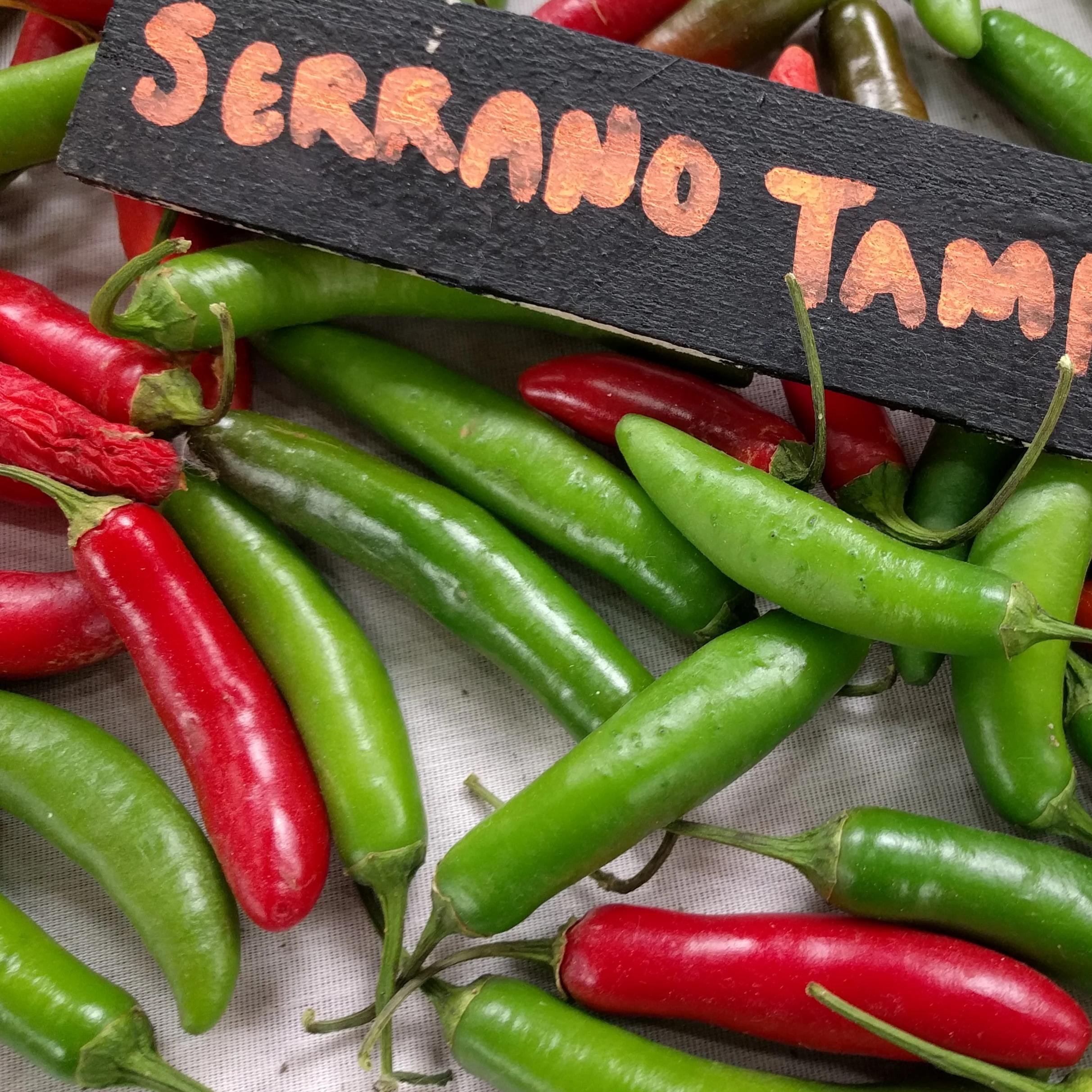 Serrano Tampiqueño Pepper Seeds
