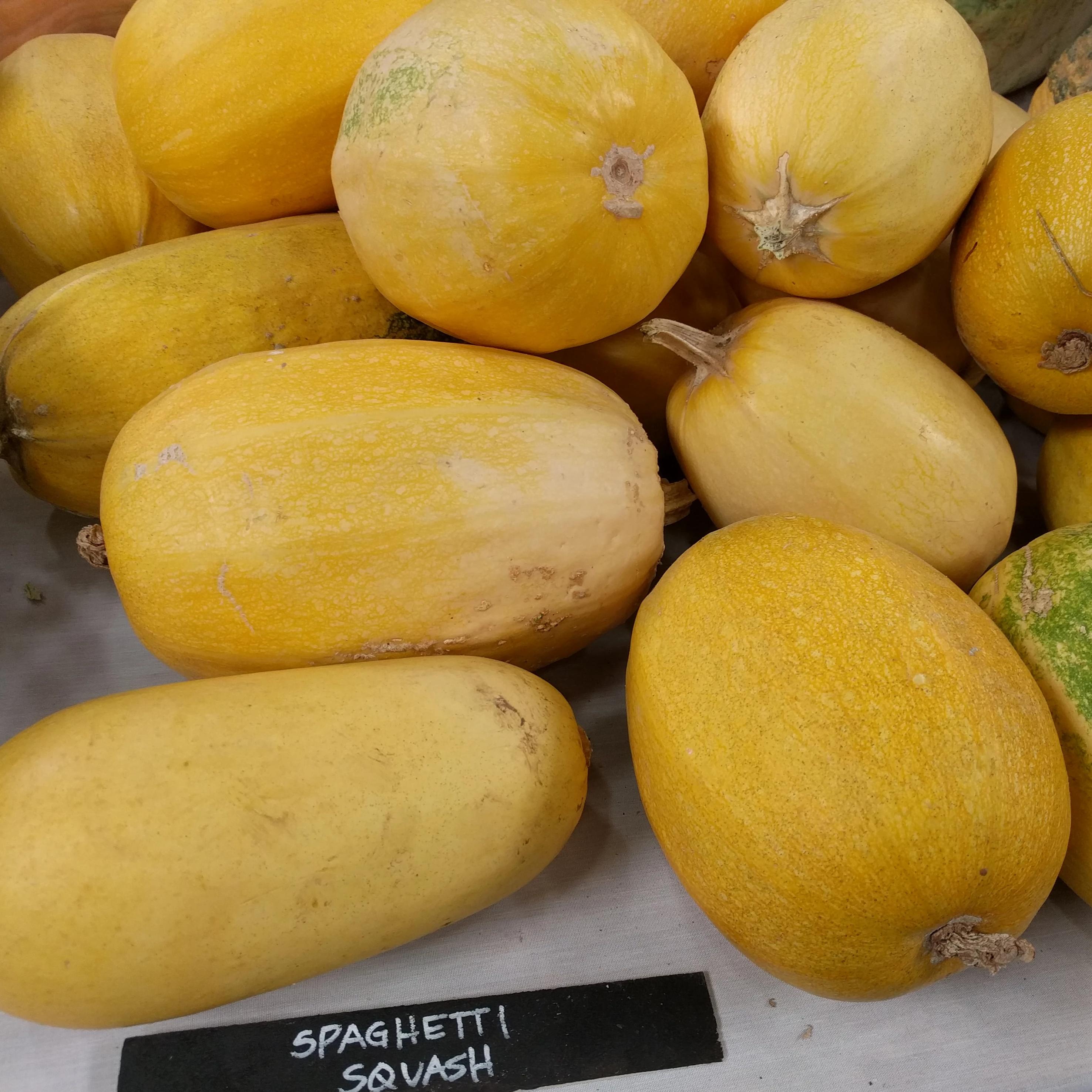 Winter Squash - Vegetable Spaghetti - Sow True Seed