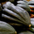 Winter Squash - Table Queen Bush Acorn, ORGANIC - Sow True Seed