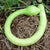 Summer Squash - Tromboncino - Sow True Seed