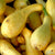 Summer Squash - Early Summer Crookneck, ORGANIC - Sow True Seed