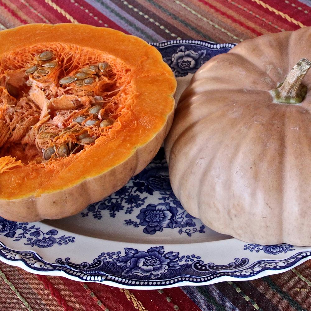 Sow True Seed Winter Squash Long Island Cheese - Thumbnail 2