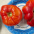Slicing Tomato - Striped German, ORGANIC - Sow True Seed