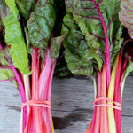 Swiss Chard Seeds - Rainbow Blend - Sow True Seed