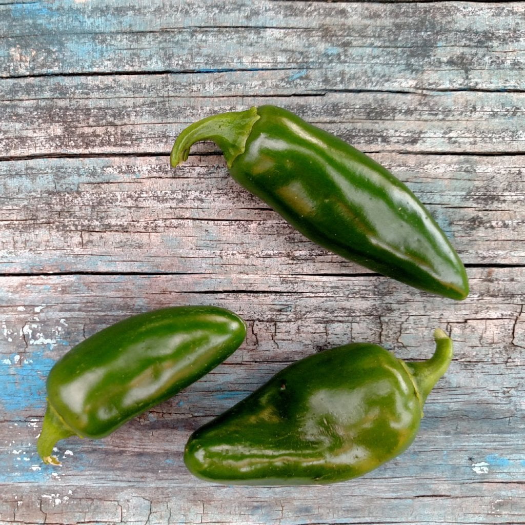 Hot Pepper - Tam Jalapeño - Sow True Seed