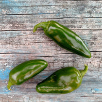 Hot Pepper - Tam Jalapeño - Sow True Seed