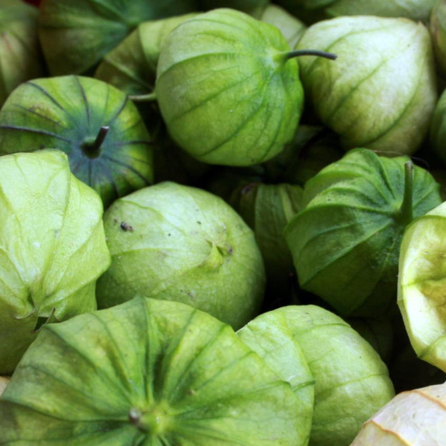 Tomatillo Seeds - Green, ORGANIC - Sow True Seed