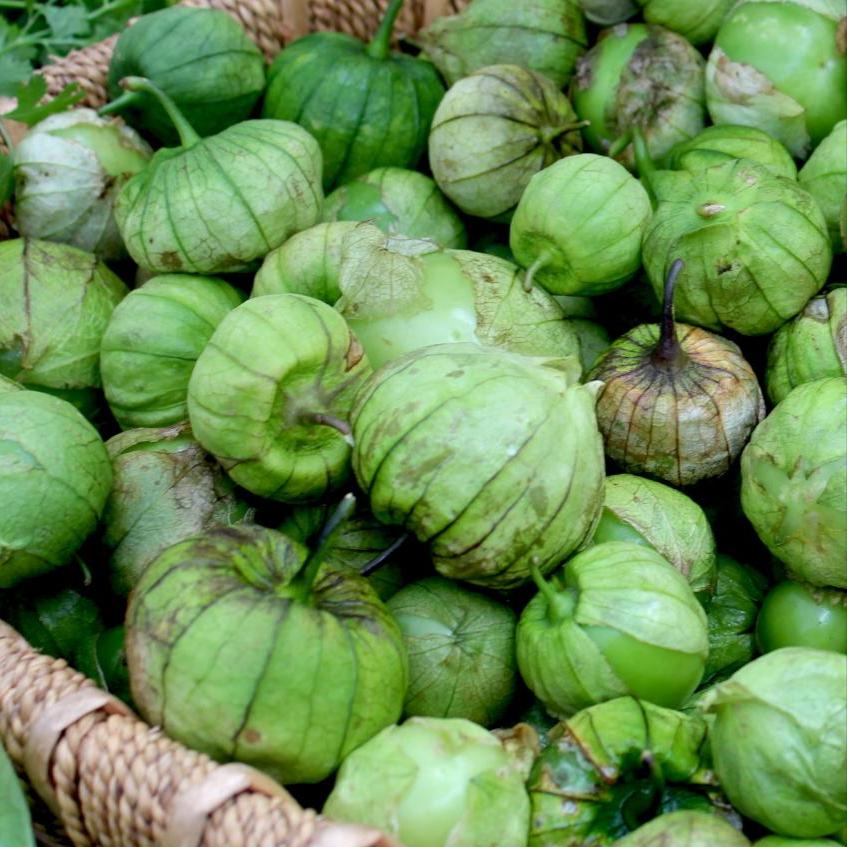 Tomatillo Seeds - Green, ORGANIC - Sow True Seed