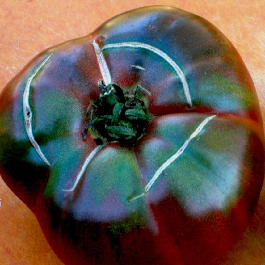 Slicing Tomato Seeds - Black From Tula - Sow True Seed