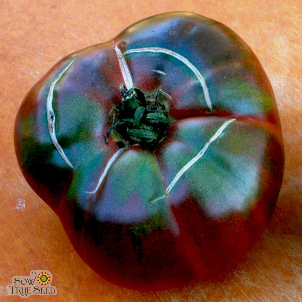 Indigo™ Blue Beauty Tomato