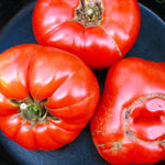 Slicing Tomato - Pink Brandywine, ORGANIC - Sow True Seed