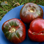 Slicing Tomato Seeds - Cherokee Purple, ORGANIC - Sow True Seed