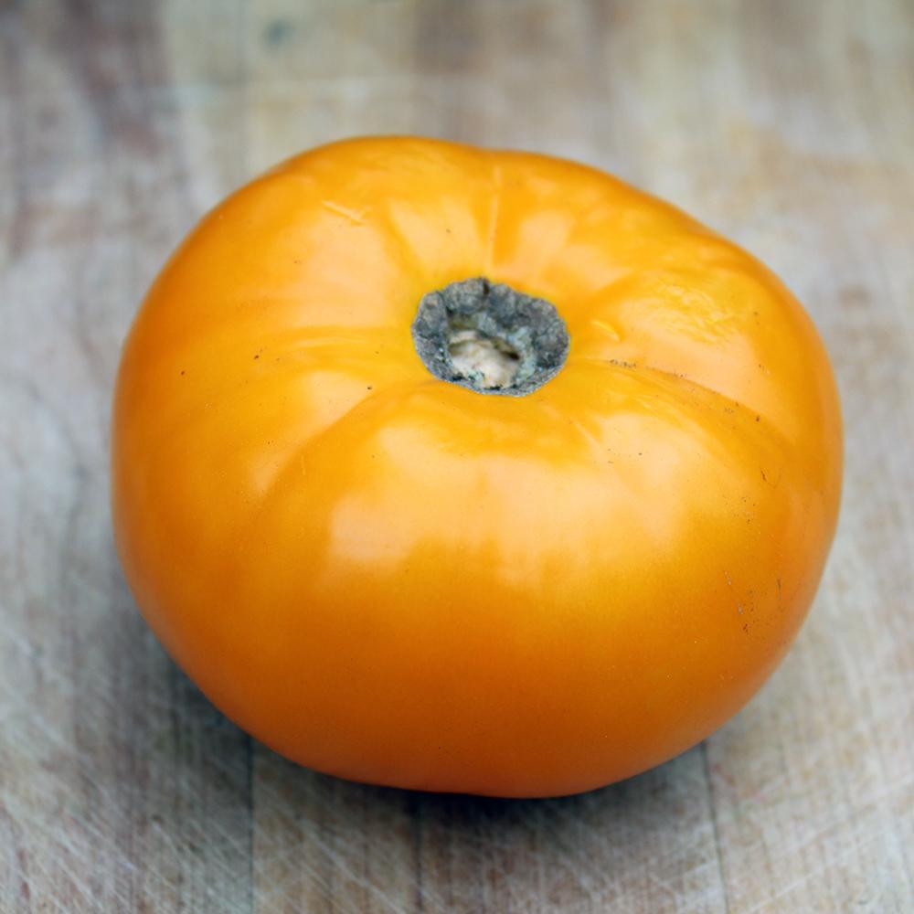 Slicing Tomato Seeds - Dr. Wyche's, ORGANIC - Sow True Seed