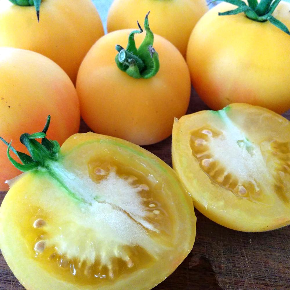 Slicing Tomato Seeds - Garden Peach, ORGANIC - Sow True Seed