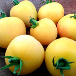 Slicing Tomato Seeds - Garden Peach, ORGANIC - Sow True Seed