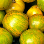 Slicing Tomato Seeds - Green Zebra, ORGANIC - Sow True Seed