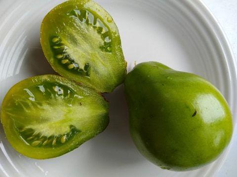 Slicing Tomato - Queen Aliquippa - Sow True Seed