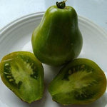 Slicing Tomato - Queen Aliquippa - Sow True Seed