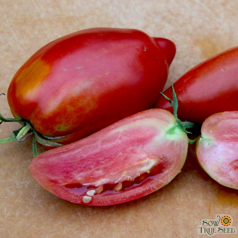 Paste Tomato Seeds - San Marzano - Sow True Seed