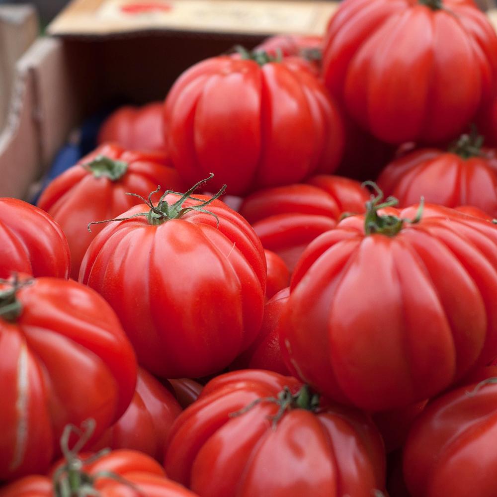 Slicing Tomato - Zapotec Pleated - Sow True Seed