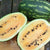Watermelon - Mountain Sweet Yellow, ORGANIC - Sow True Seed