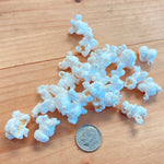 Flint Corn Seeds - White Rice Popcorn - Sow True Seed