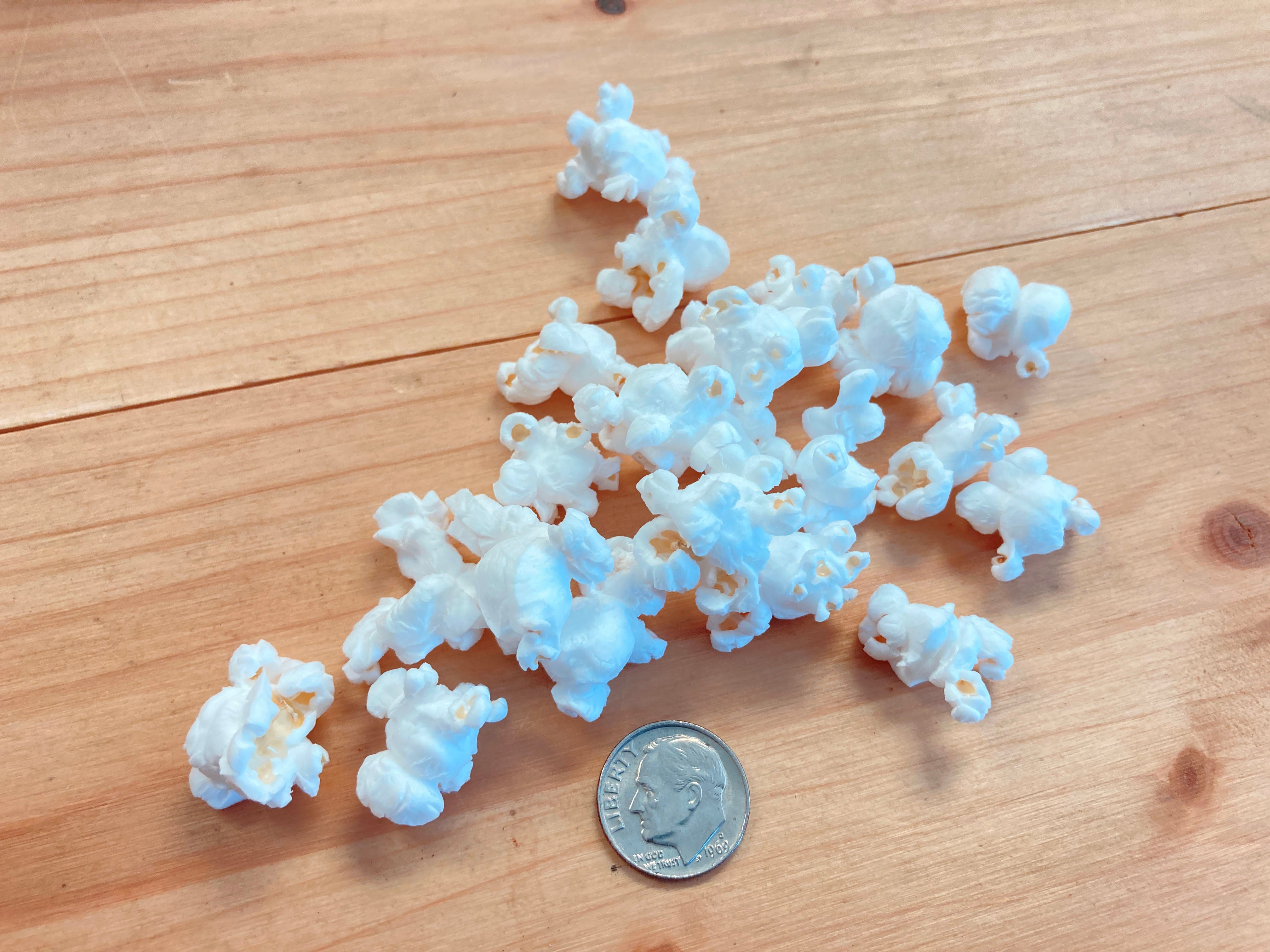 Flint Corn Seeds - White Rice Popcorn - Sow True Seed