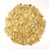 Flint Corn Seeds - White Rice Popcorn