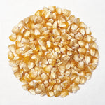 Sweet Corn Seeds - Who Gets Kissed - Sow True Seed