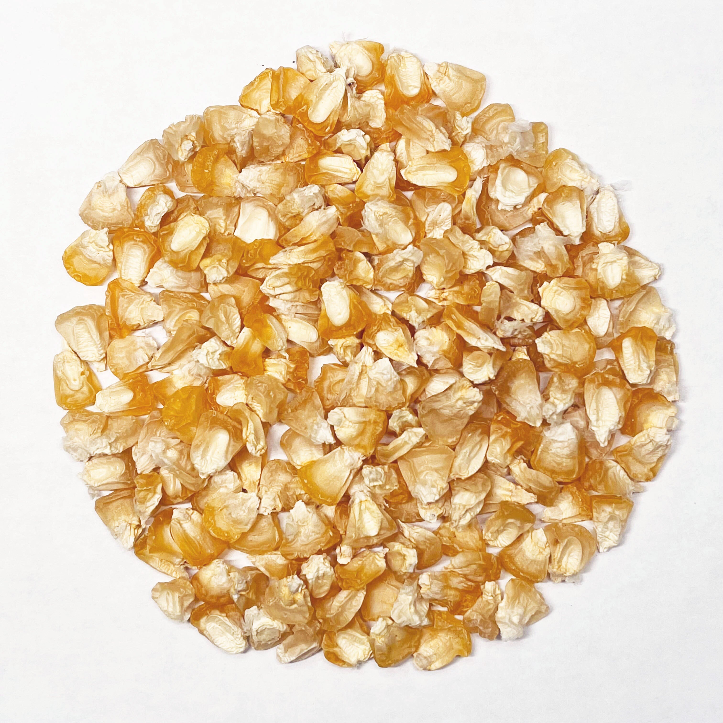 Sweet Corn Seeds - Who Gets Kissed - Sow True Seed