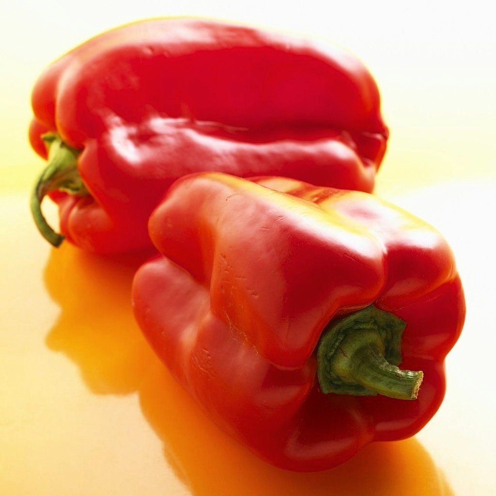 Sweet Pepper Seeds - Yolo Wonder - Sow True Seed