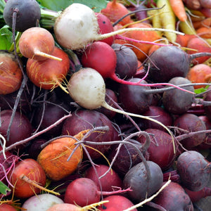 Blending beets top