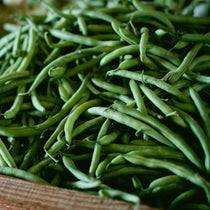 Bush Bean Seeds- Blue Lake 274 - Sow True Seed