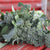 Broccoli Seeds - Green Sprouting Calabrese - Sow True Seed