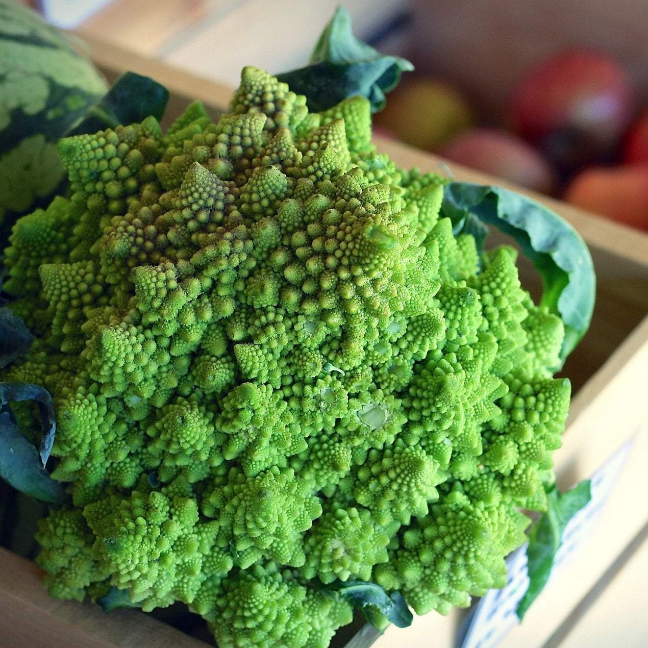 Broccoli Seeds - Romanesco, ORGANIC - Sow True Seed