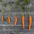 Carrot Seeds - Little Finger, ORGANIC - Sow True Seed