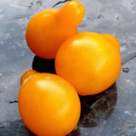 Cherry Tomato Seeds - Yellow Pear - Sow True Seed