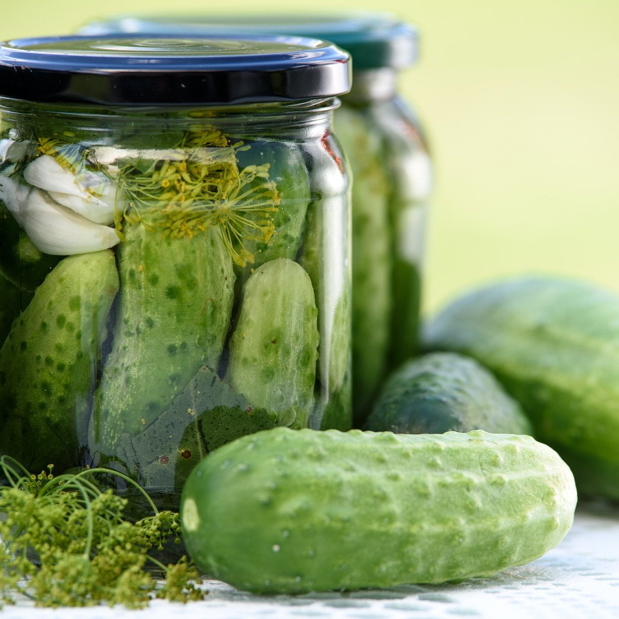 Pickling Cucumber Seeds - Arkansas Little Leaf Pickling - Sow True Seed