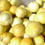 Specialty Cucumber Seeds - Lemon - Sow True Seed