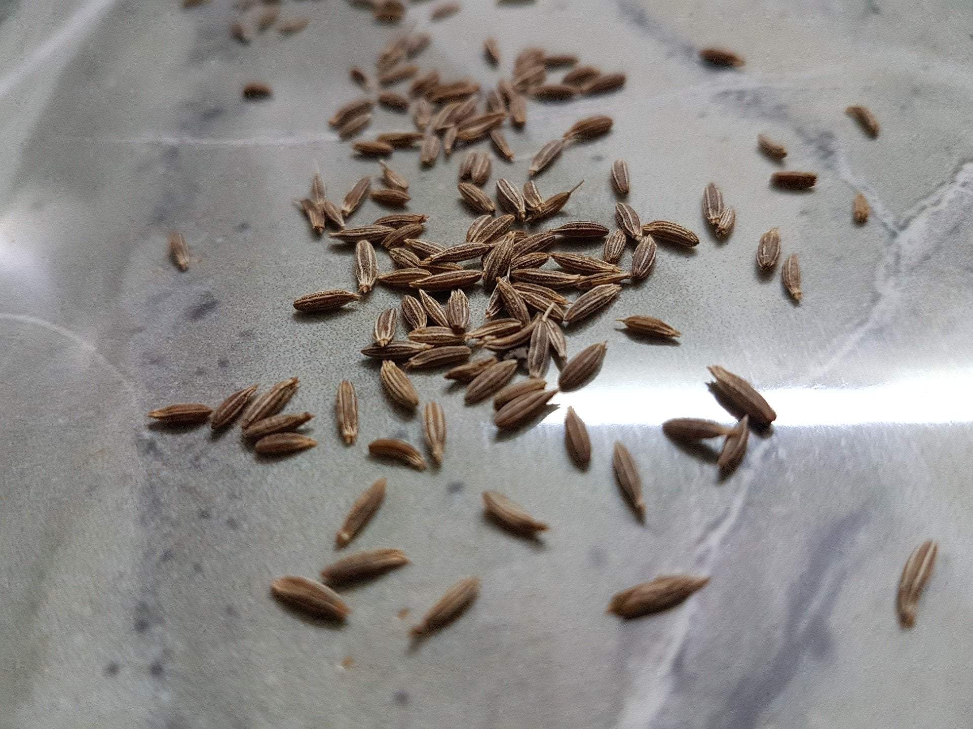 Cumin Seed - Sow True Seed