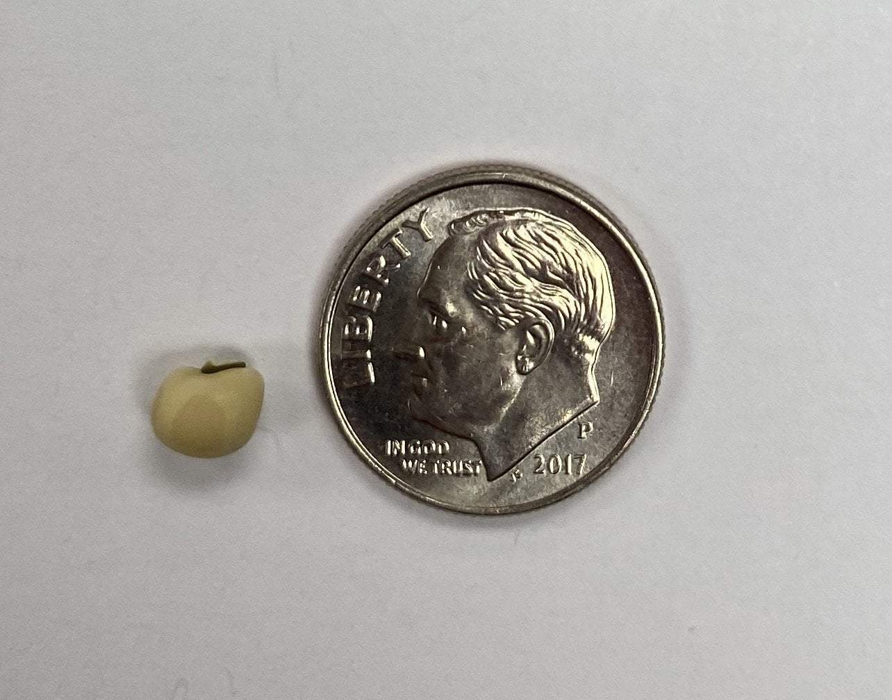 Southern Pea Seeds - White Rice - Sow True Seed