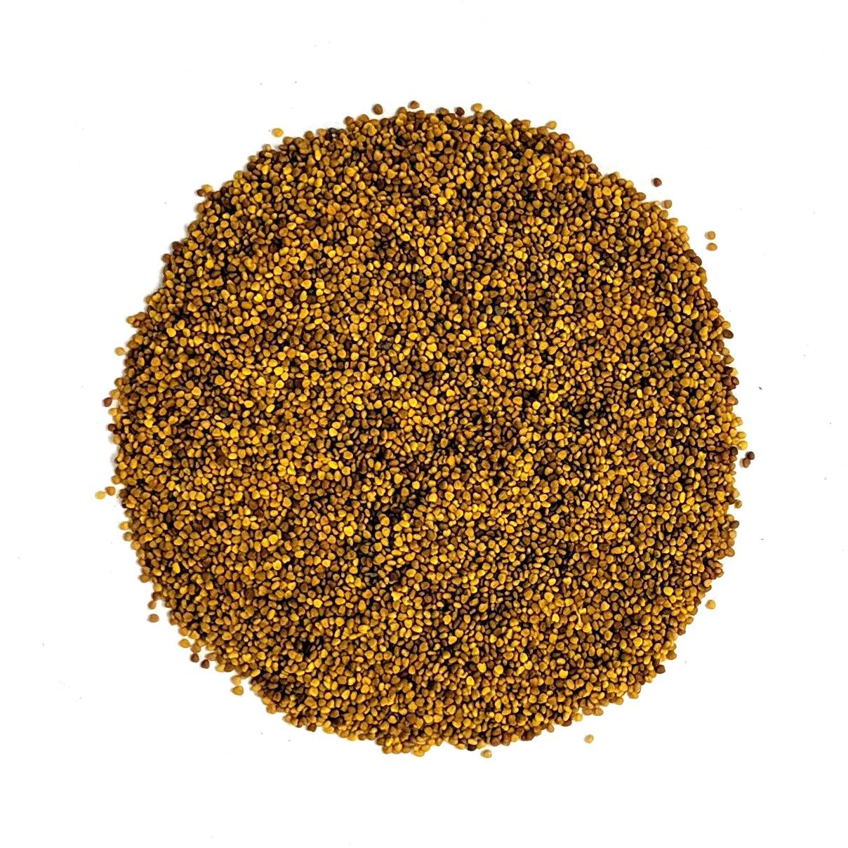 Cover Crop - Dutch White Clover - Sow True Seed